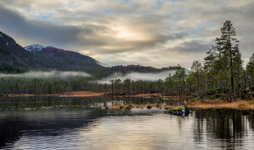 Картинка природа реки озера река лес