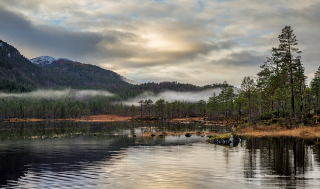 Обои картинки фото природа, реки, озера, река, лес