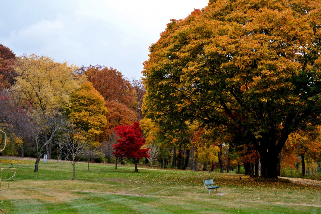 Обои картинки фото природа, парк, деревья, осень