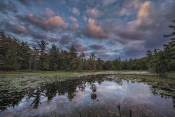 Картинка природа реки озера лес река