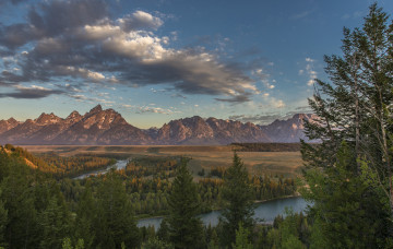 Картинка природа пустыни лес река