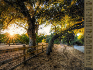 Картинка календари природа 2018 деревья дорога изгородь солнце