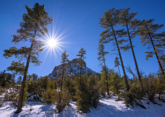 Картинка природа зима простор