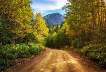 Картинка природа дороги простор