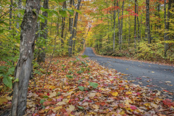 Картинка природа дороги простор