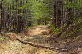 Картинка природа дороги простор