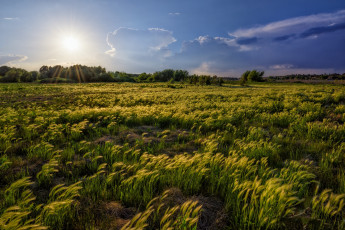 Картинка природа пейзажи простор