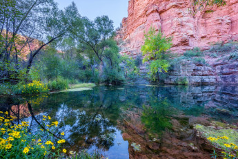 Картинка природа реки озера простор