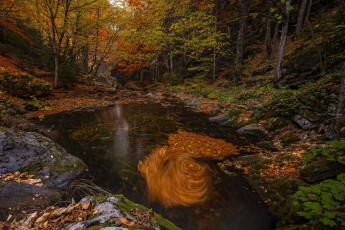 Картинка природа реки озера простор