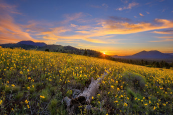 Картинка природа восходы закаты простор