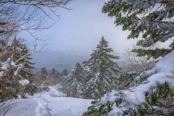 Картинка природа зима простор