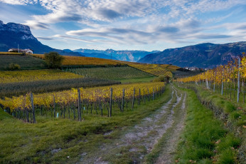 Картинка природа дороги простор