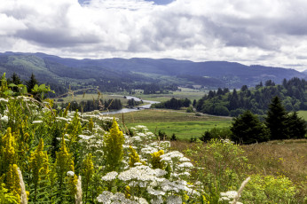 Картинка природа пейзажи простор