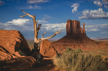 Картинка природа пустыни простор