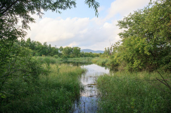 Картинка природа реки озера простор