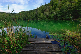 Картинка природа реки озера простор