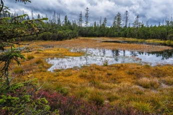 Картинка природа реки озера простор