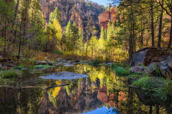 Картинка природа реки озера простор