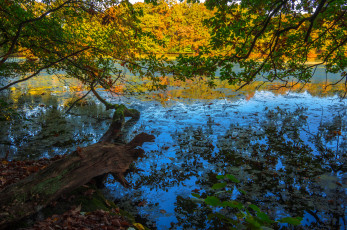 Картинка природа реки озера простор