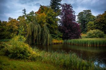 Картинка природа реки озера простор