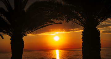 Картинка природа тропики простор