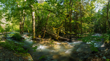 Картинка природа реки озера простор