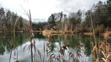 Картинка природа реки озера простор