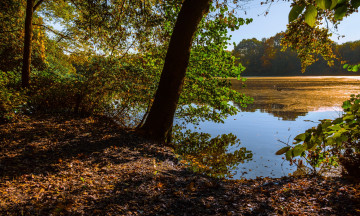 Картинка природа реки озера простор