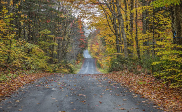 Картинка природа дороги простор