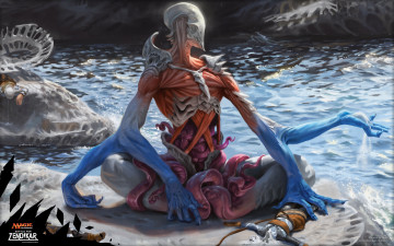 Картинка magic +the+gathering+-+battle+for+zendikar видео+игры ролевая the gathering - battle for zendikar