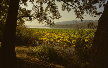 Картинка природа пейзажи простор