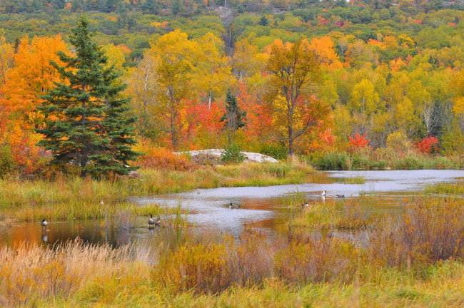 Обои картинки фото природа, реки, озера, простор