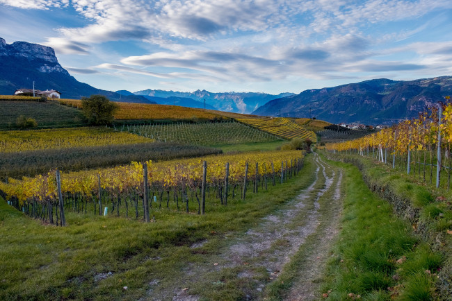 Обои картинки фото природа, дороги, простор