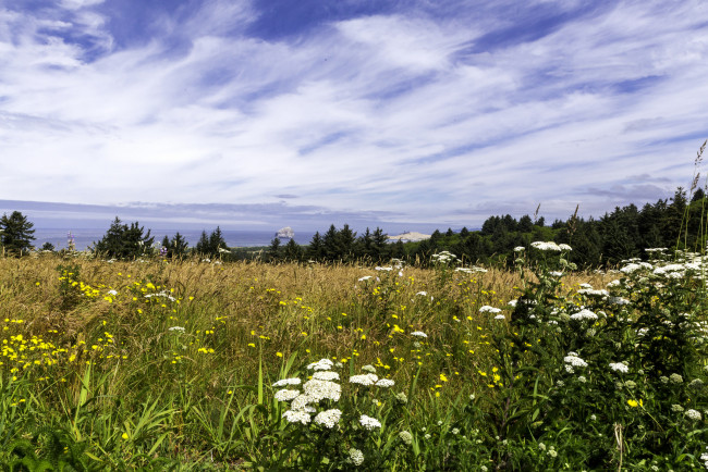 Обои картинки фото природа, луга, простор