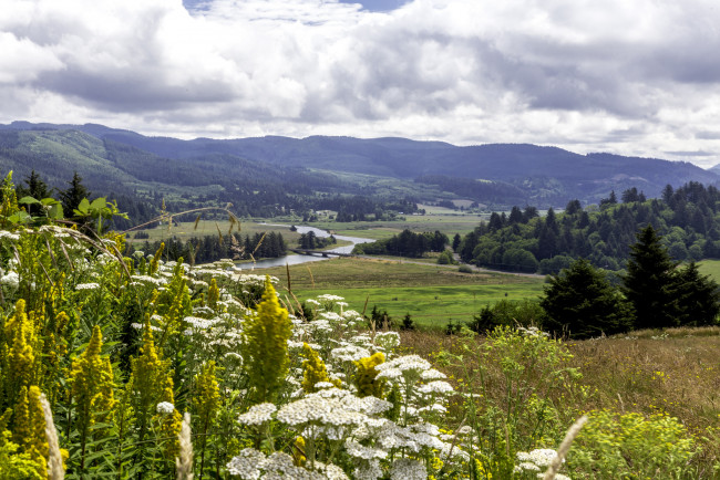 Обои картинки фото природа, пейзажи, простор