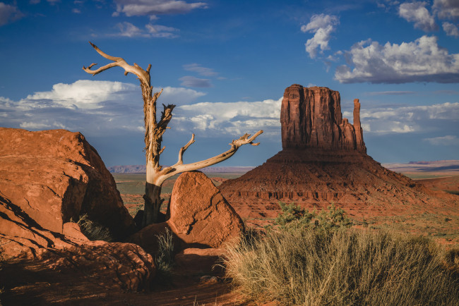 Обои картинки фото природа, пустыни, простор