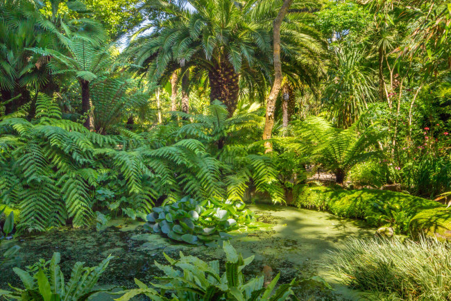 Обои картинки фото природа, тропики, простор