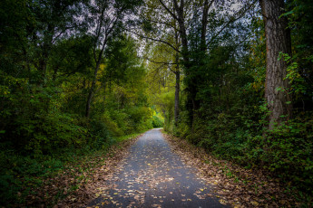 Картинка природа дороги простор