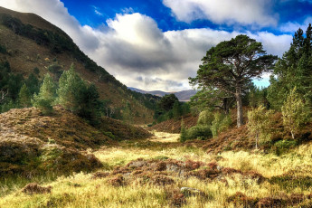 Картинка природа горы простор