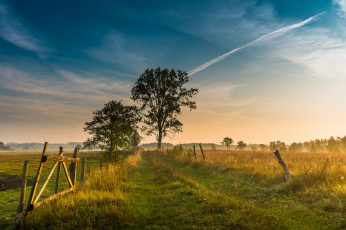 Картинка природа дороги простор