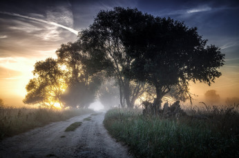 Картинка природа дороги простор