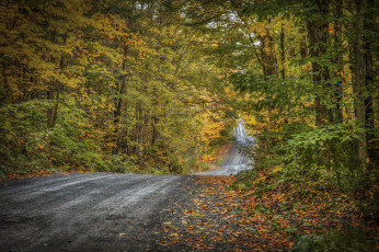 Картинка природа дороги простор