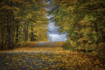 Картинка природа дороги простор