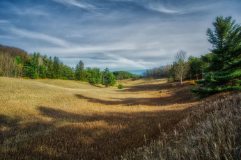 Картинка природа пейзажи простор