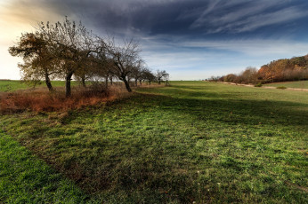 Картинка природа пейзажи простор