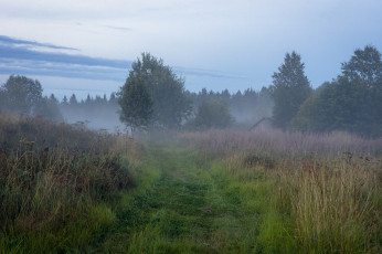 Картинка природа пейзажи простор