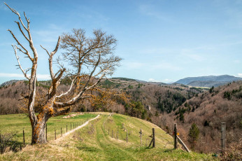 Картинка природа пейзажи простор