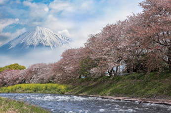 Картинка природа реки озера простор