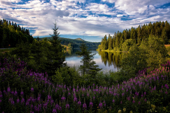 Картинка природа реки озера простор