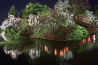 Картинка природа реки озера простор